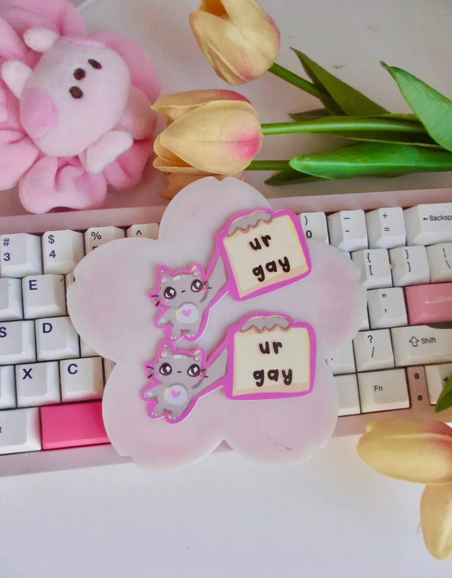Ur Gay Silly Kitty Sticker